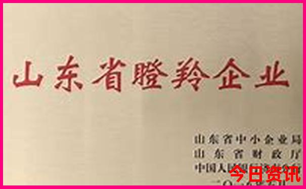 江西的五a级景区有哪些